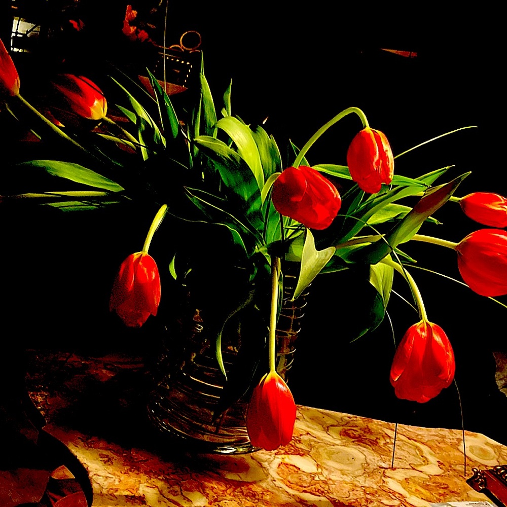 HAPPY SPRING…!!! To All …